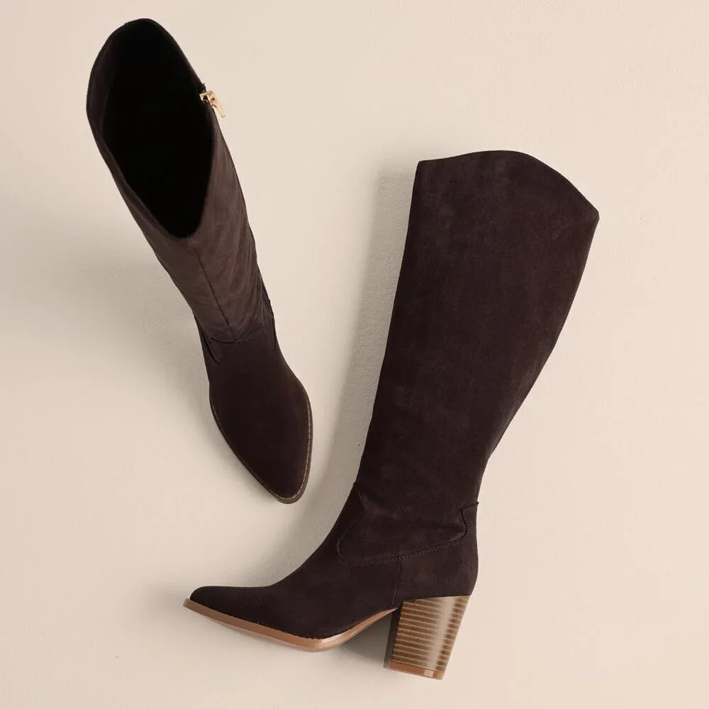 Womens Suede Chocolate Side Zipper Knee High Pointed Toe Chunky Heel Tall Boots
